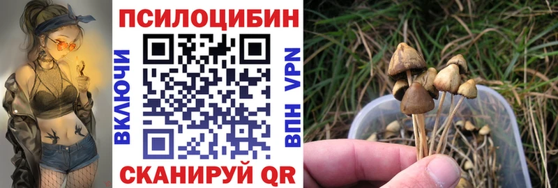 Галлюциногенные грибы мицелий  Руза 